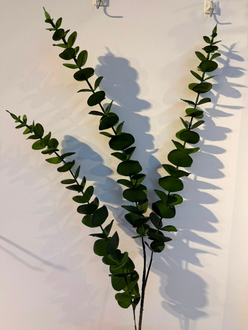 VARA DE EUCALIPTO X 3 REALISTA