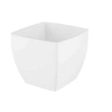 MATERA SIENA - imagen 1