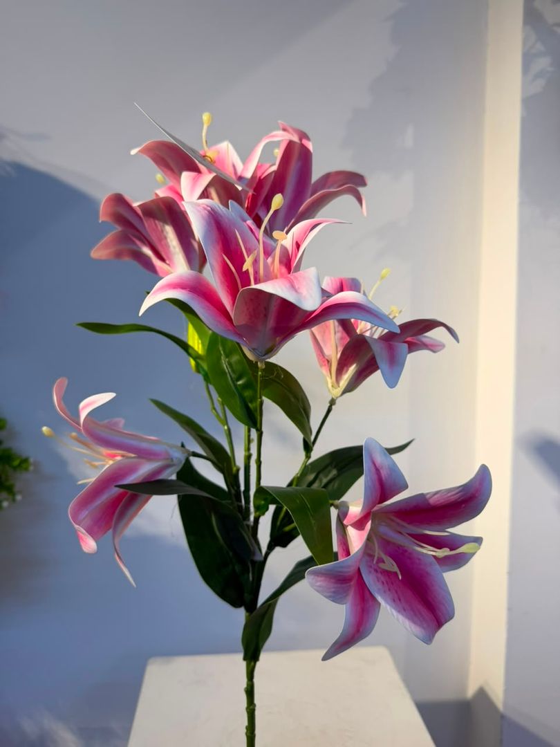 LIRIO EN VARA X 7 FLORES FUCSIA