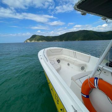 LANCHA 12  - imagen 1