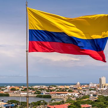 Imagen del producto Encomiendas / Pedidos por encargo 