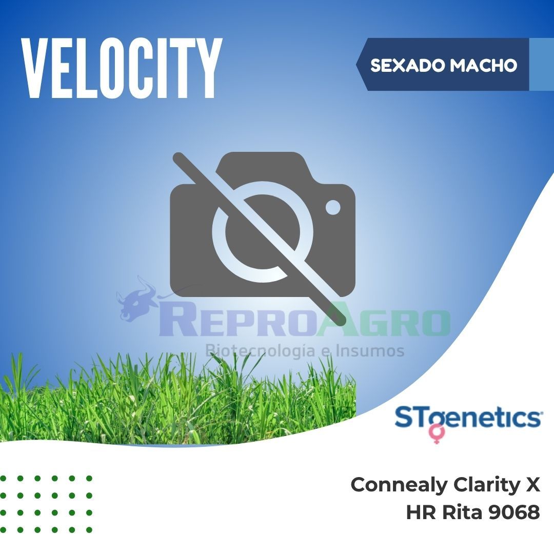 VELOCITY SEXADO MACHO