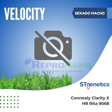 VELOCITY SEXADO MACHO - imagen 1