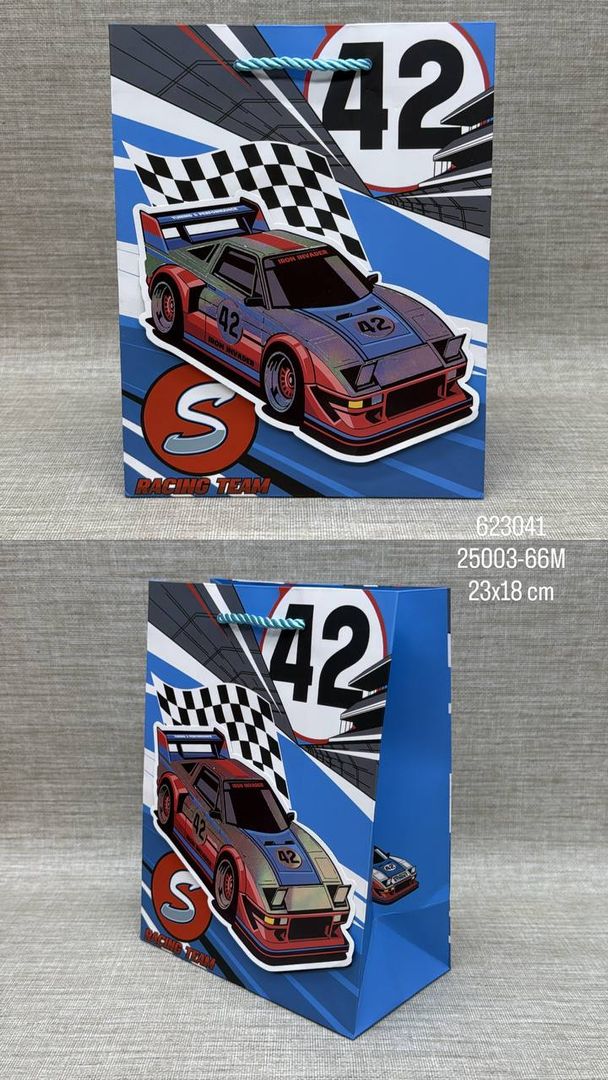 BOLSA DE REGALO SURTIDA VEHICULOS 23x18 CM