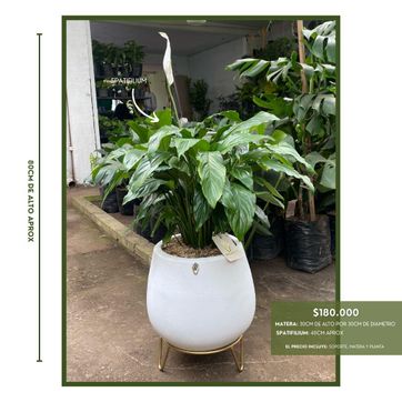 PROMO ARMA TU COMBO - imagen 4