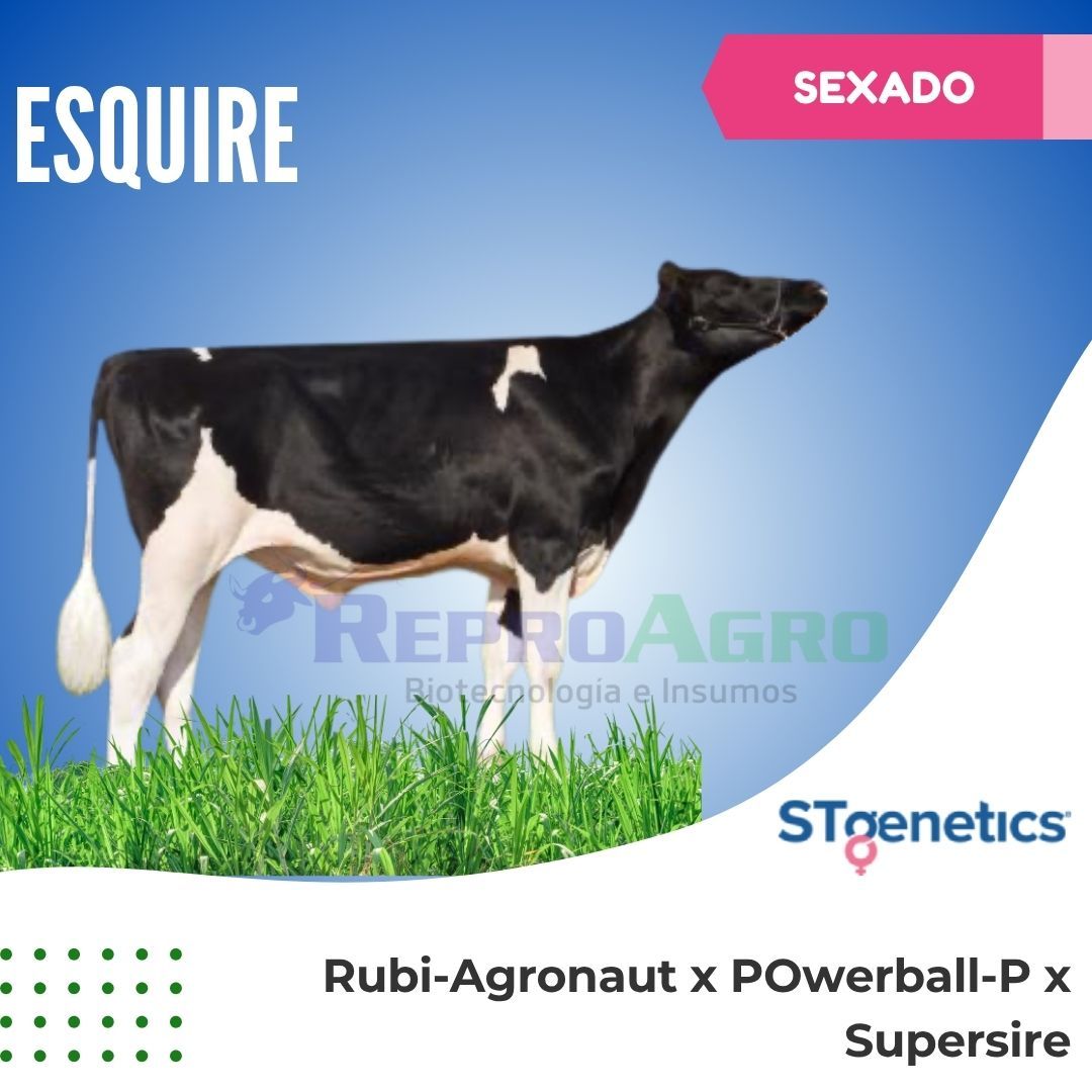 ESQUIRE SEXADO