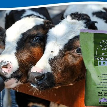 Imagen del producto  LECHE PARA TERNEROS 25 KILOS