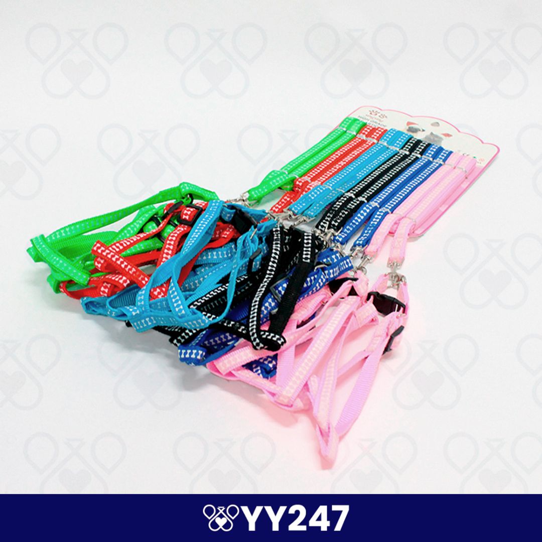 YY247