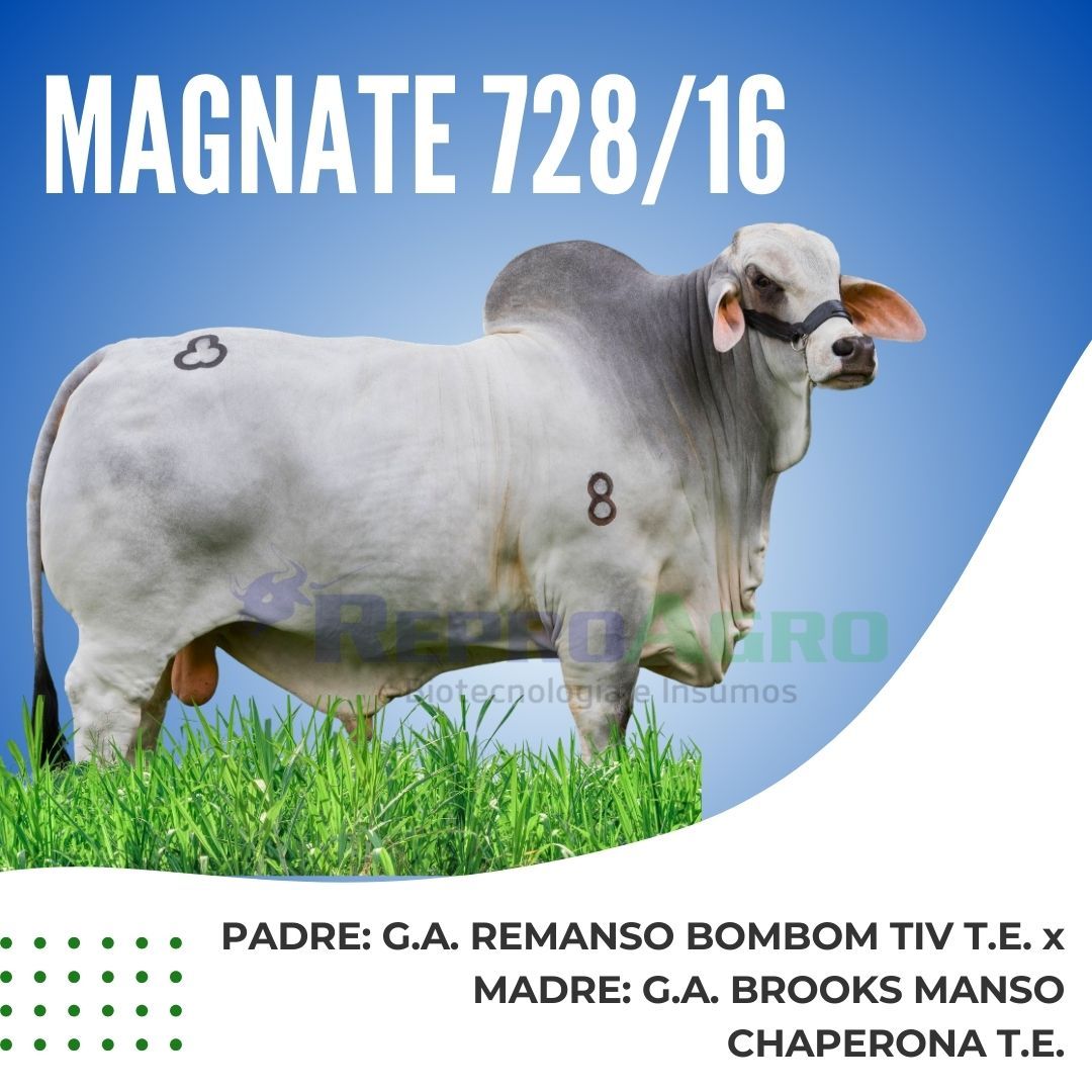 MAGNATE