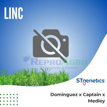 LINC - imagen 1