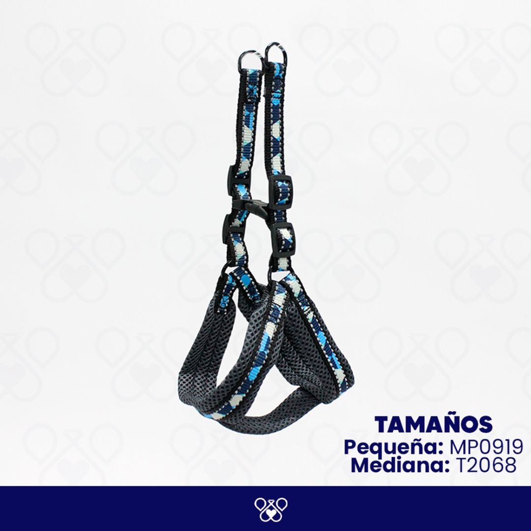 MP0919/T2068