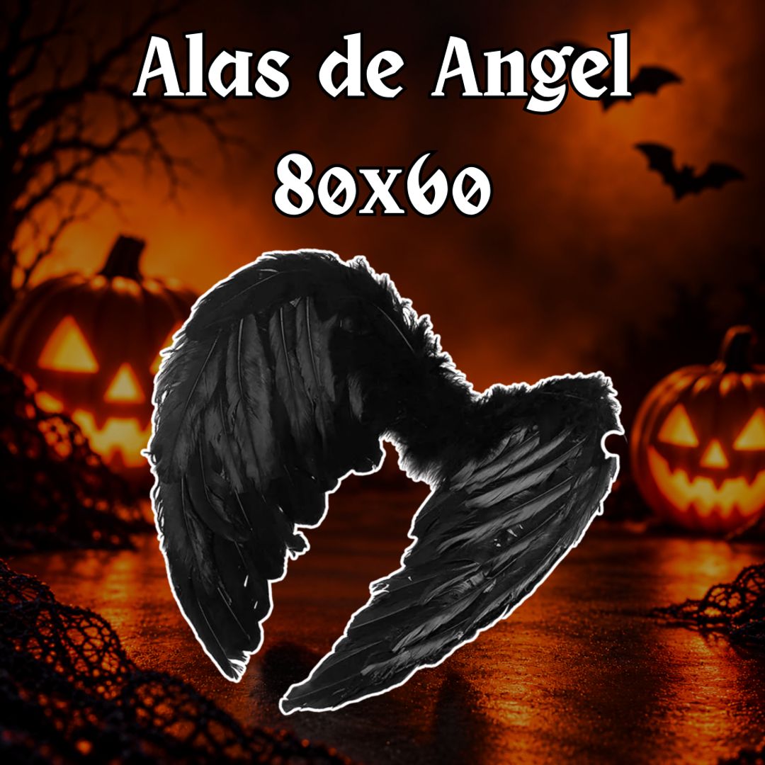Alas de Angel 80x60