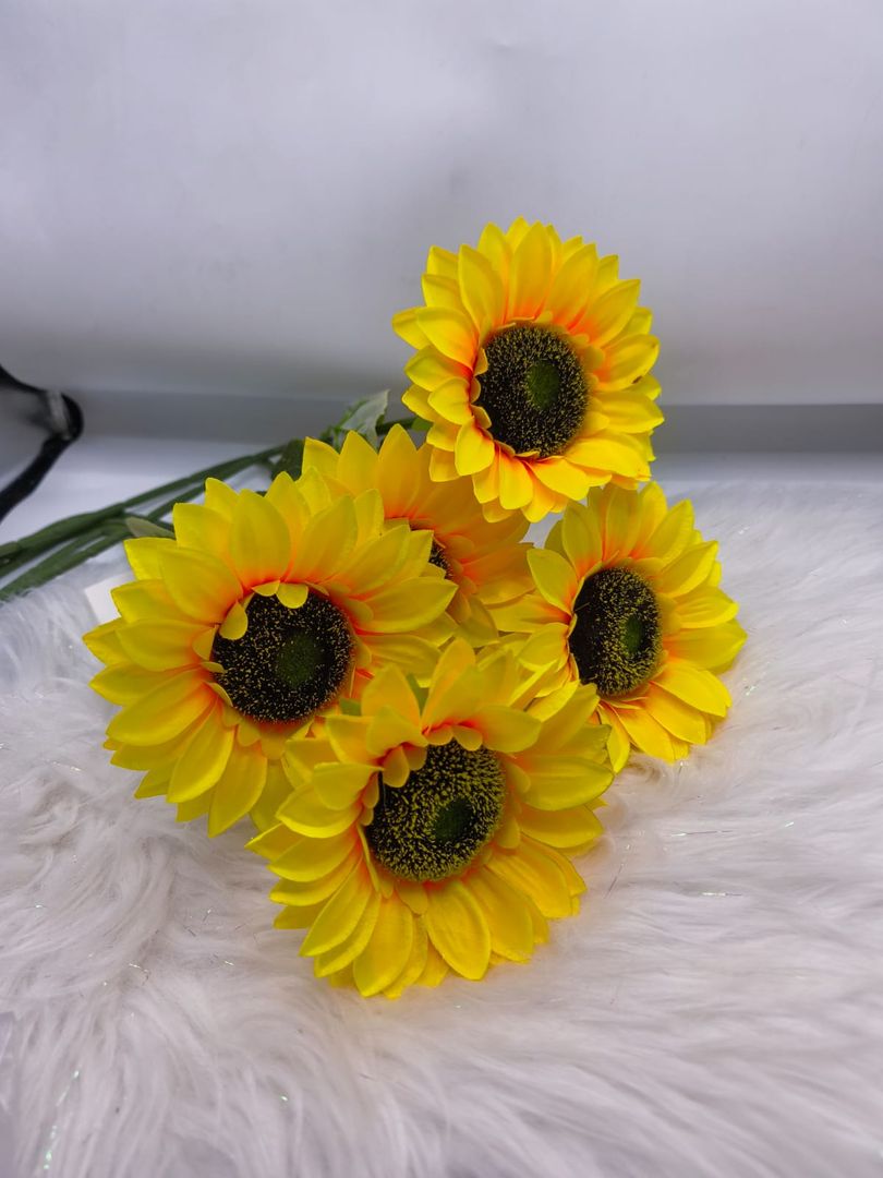 GIRASOL INDIVIDUAL JM054