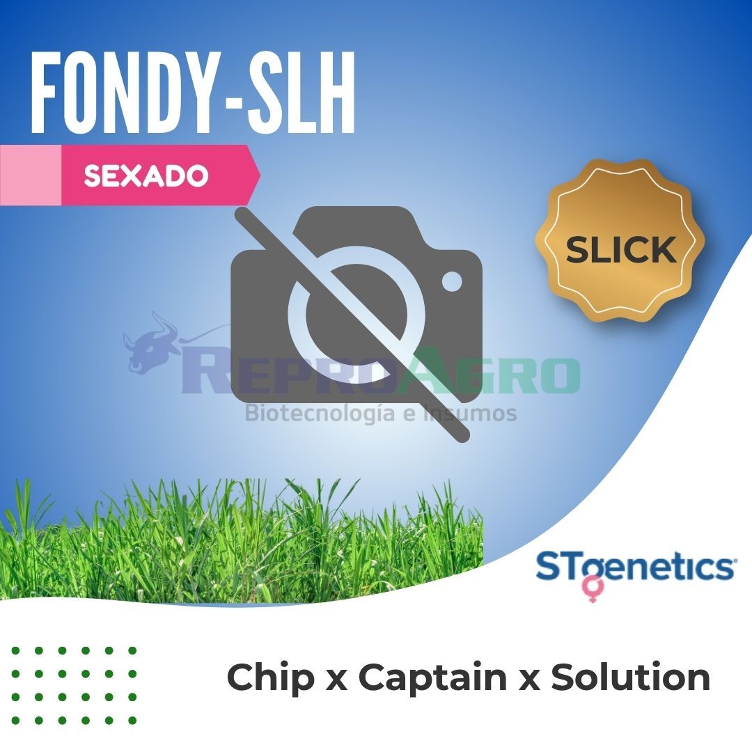 FONDY-SLH SEXADO