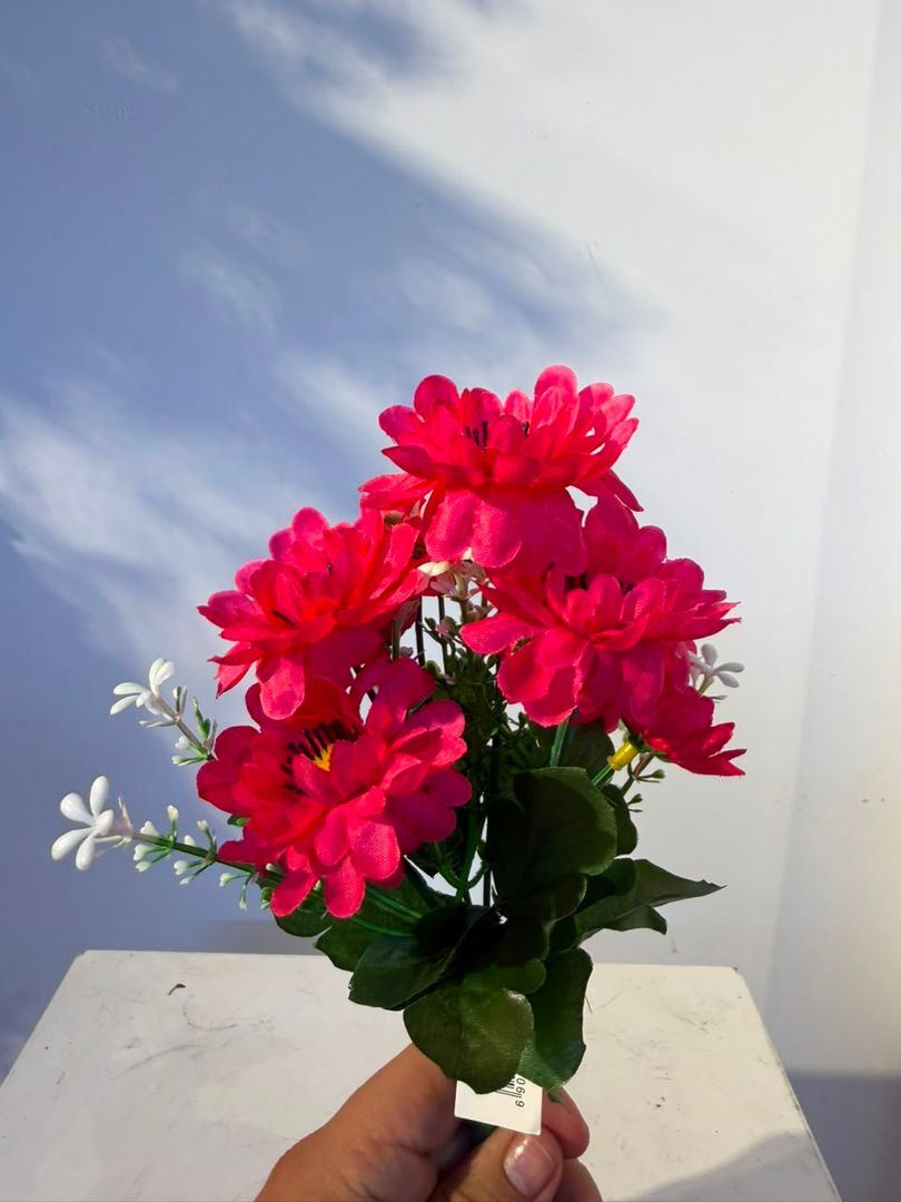 MINI MARGARITA FUCSIA