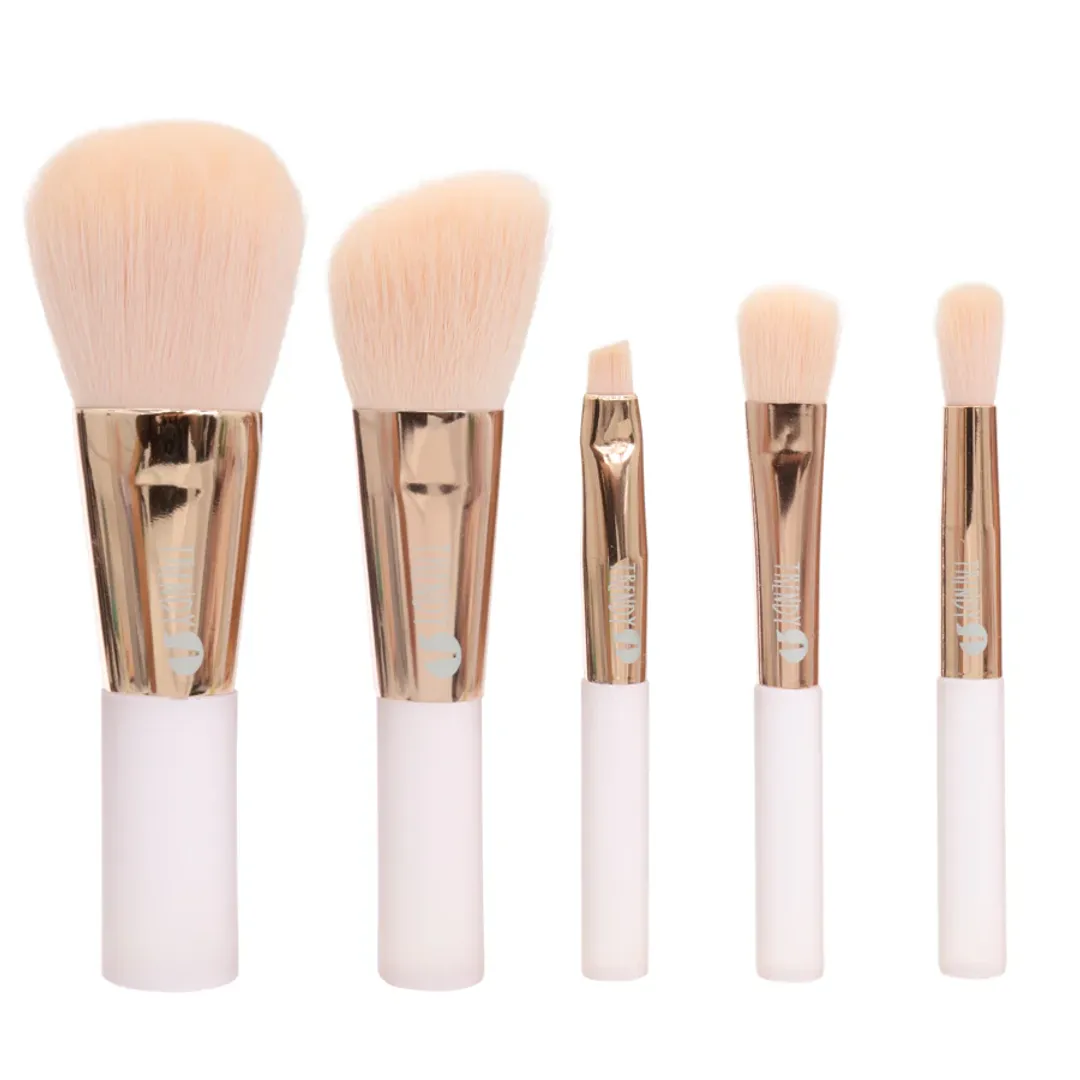 KIT BROCHA CRISTAL X5 TRENDY