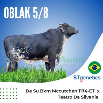 OBLAK - imagen 1