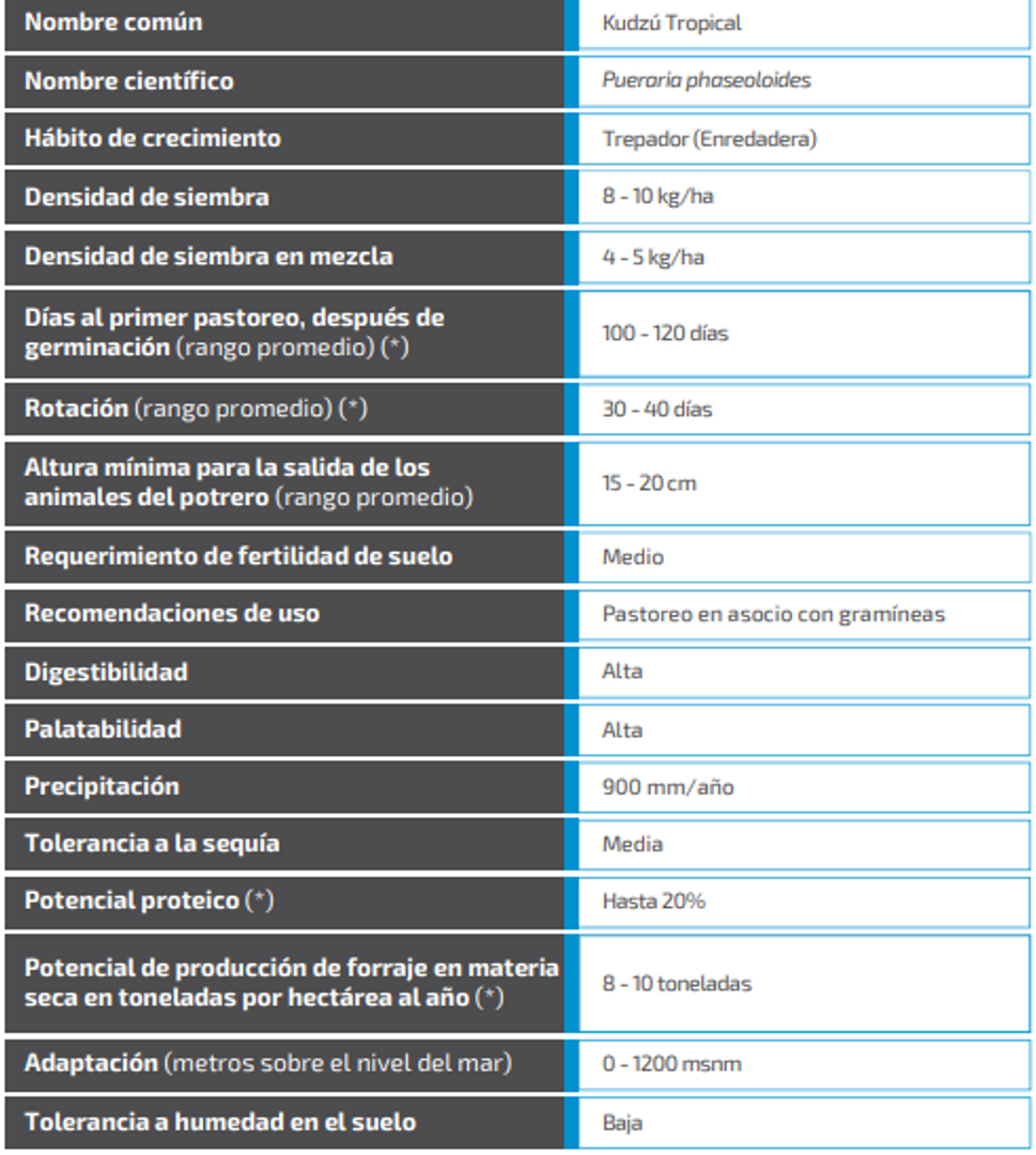 Kudzú Tropical x Kg