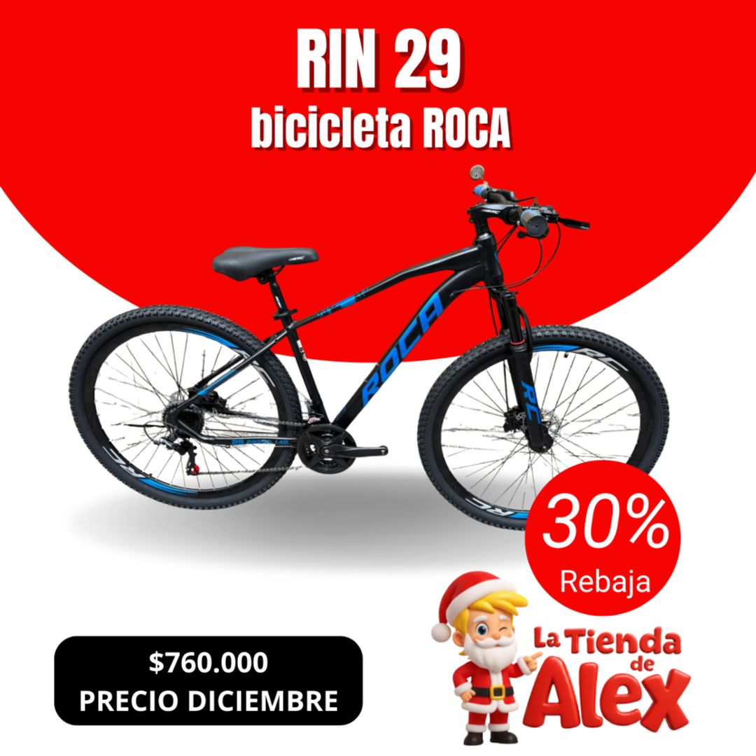 RIN 29 ROCA
