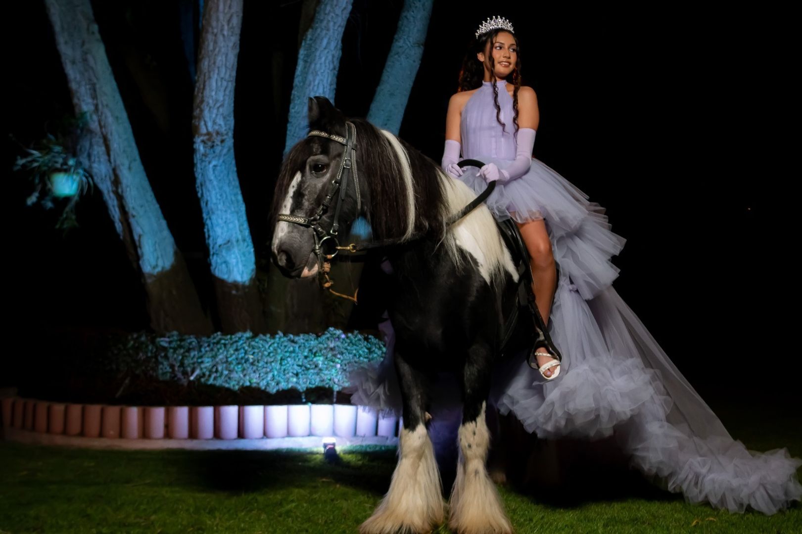 ALQUILER DE CABALLO PARA EVENTO