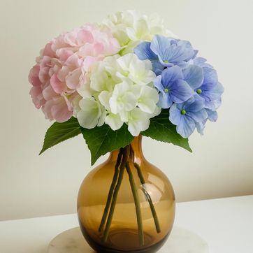 Imagen del producto Hortensia Blanca