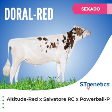 DORAL-RED SEXADO - imagen 1