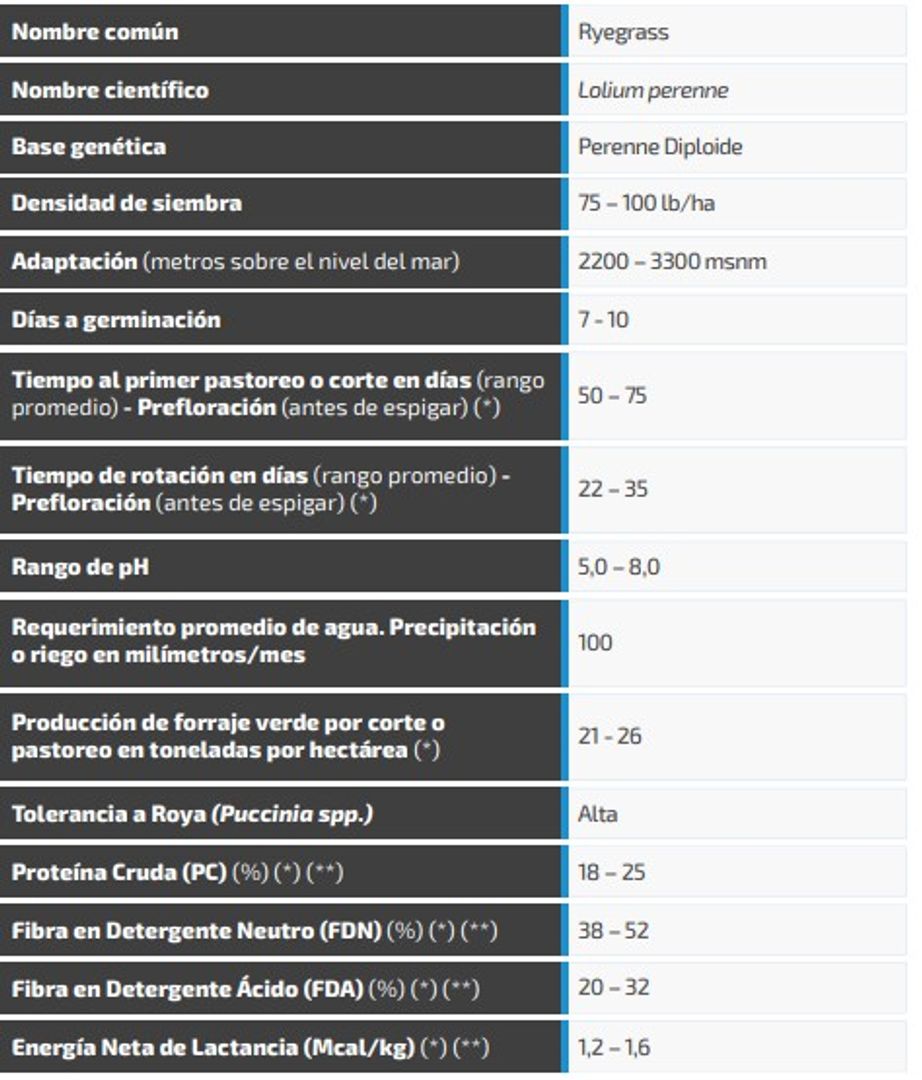 Ryegrass Rohan (Perenne diploide) x Kilo AGOTADO