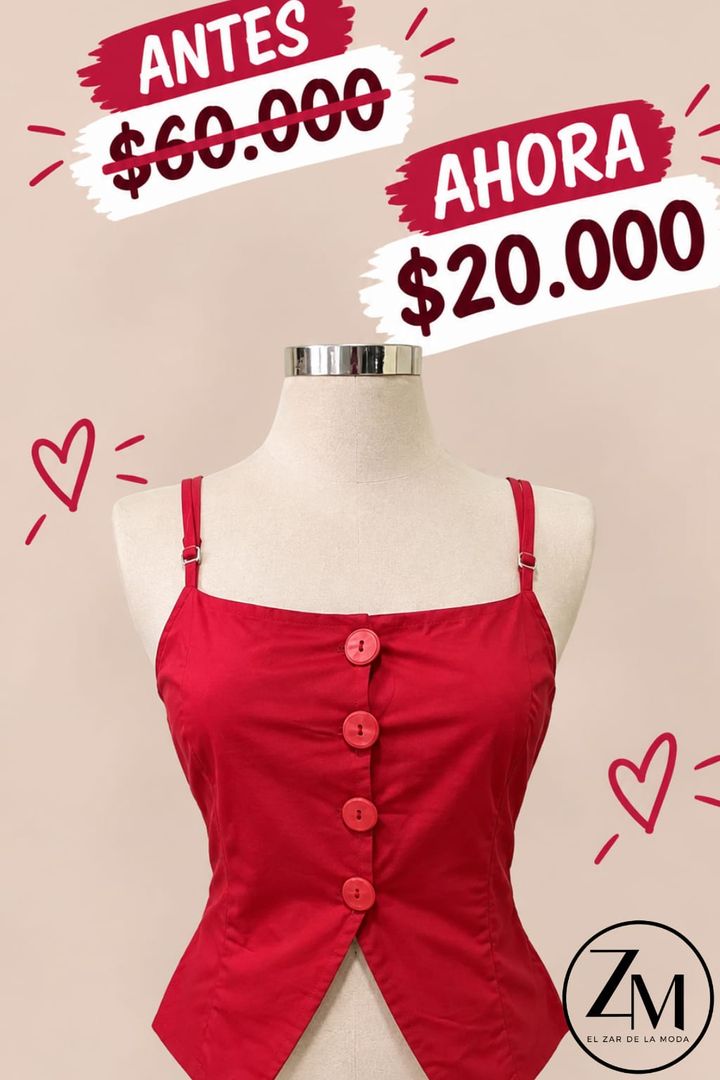 Blusa