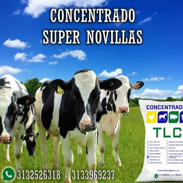 Imagen del producto SUPER NOVILLAS TLC 40 Kilos