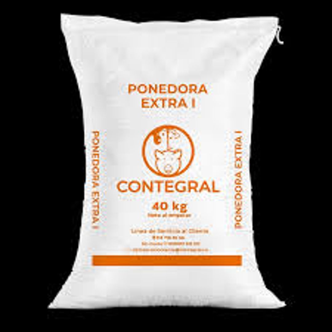  PONEDORA EXTRA 1