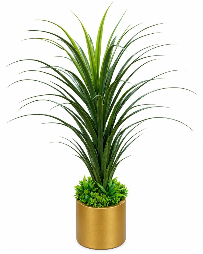 PLANTA TIPO PALMA TENDENCIA