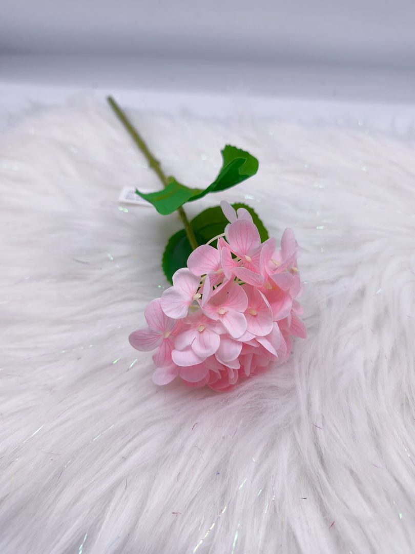 HORTENCIA INDIVIDUAL TG 663