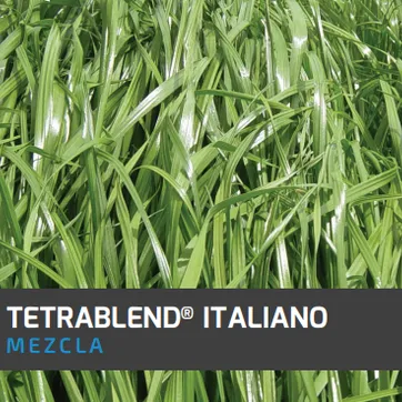 Tetrablend Italiano x Kilo - imagen 1