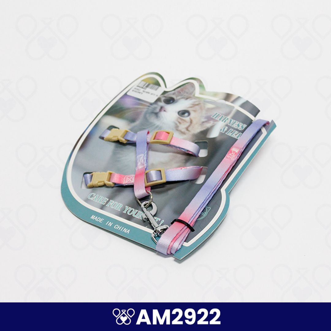 AM2922