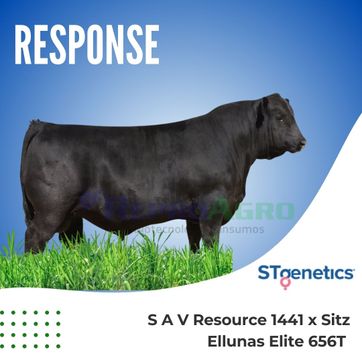 RESPONSE - imagen 1
