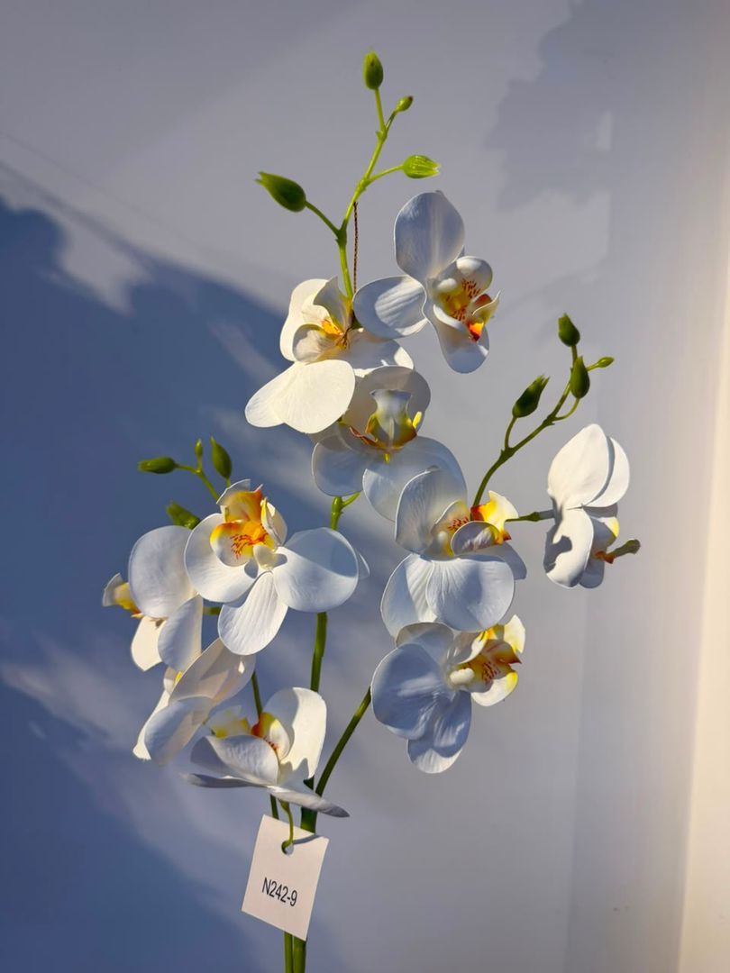 VARA X 3 DE ORQUIDEA DE LATEX BLANCA