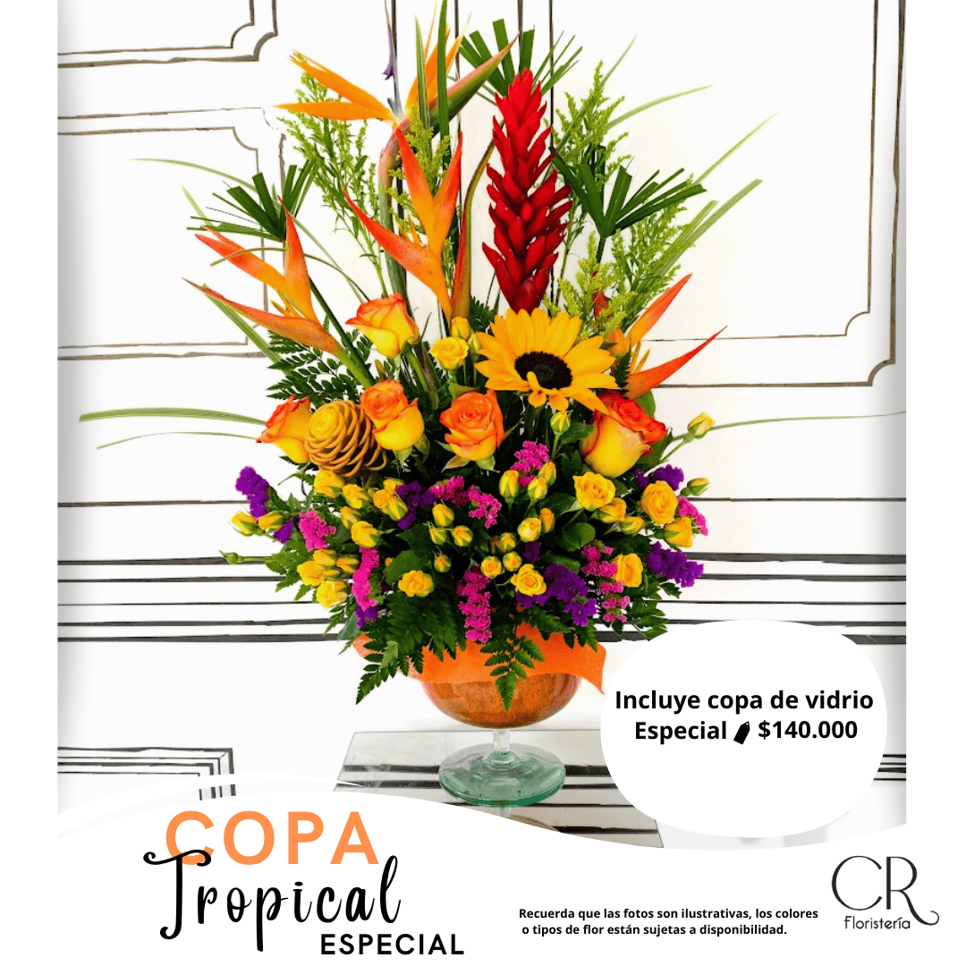 Copa Tropical