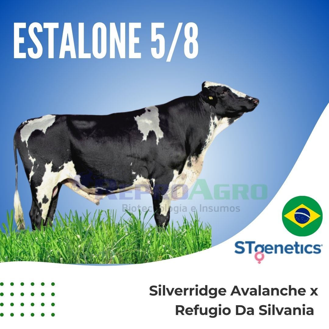ESTALONE
