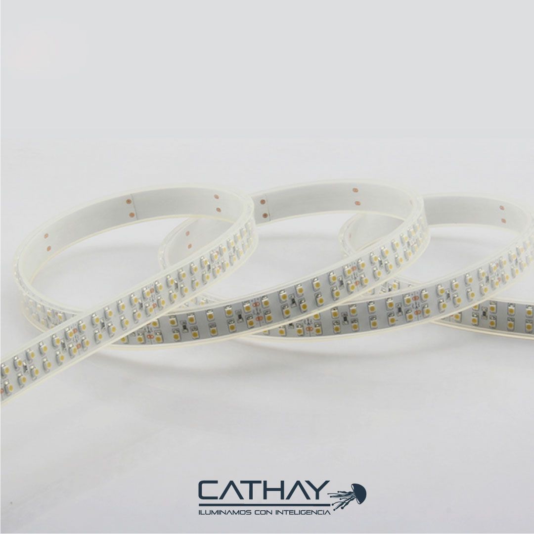 CINTA LED 2835 DOBLE CARRIL 15MM/28,8W/MT 