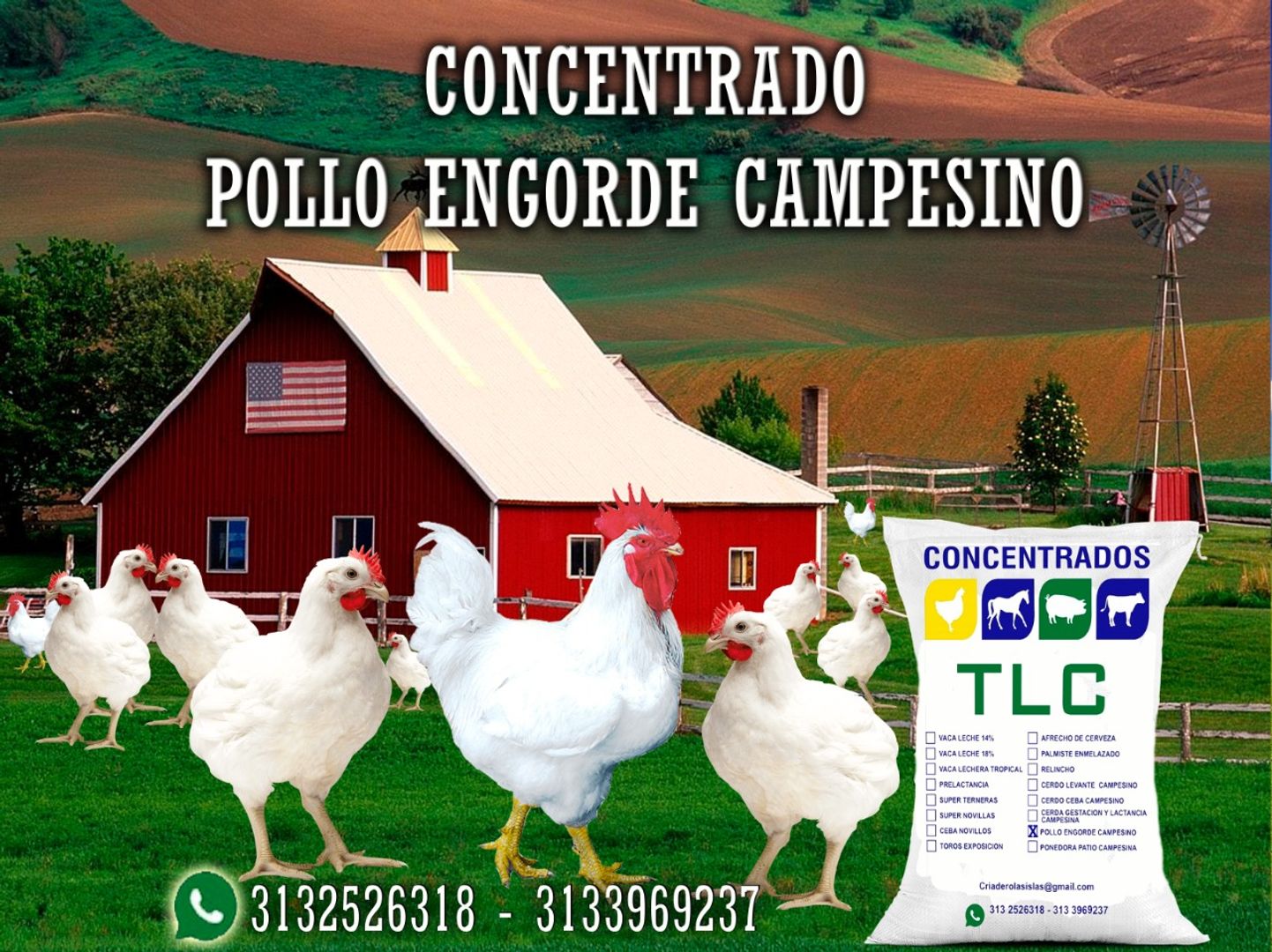 POLLO ENGORDE CAMPESINO QUEBRANTADO TLC