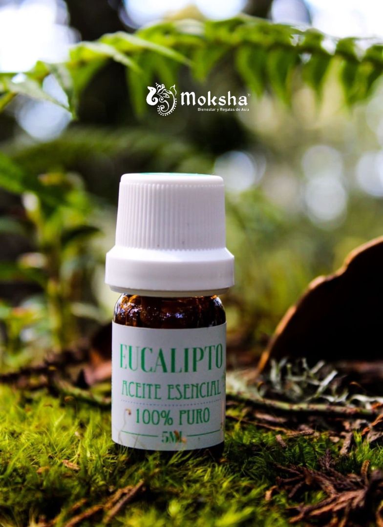 Aceite esencial de Eucalipto