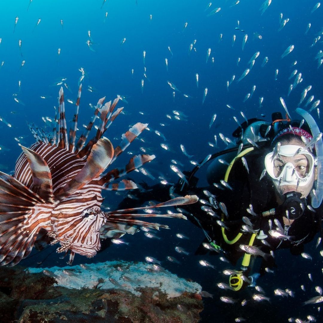 BUCEO PARQUE TAYRONA