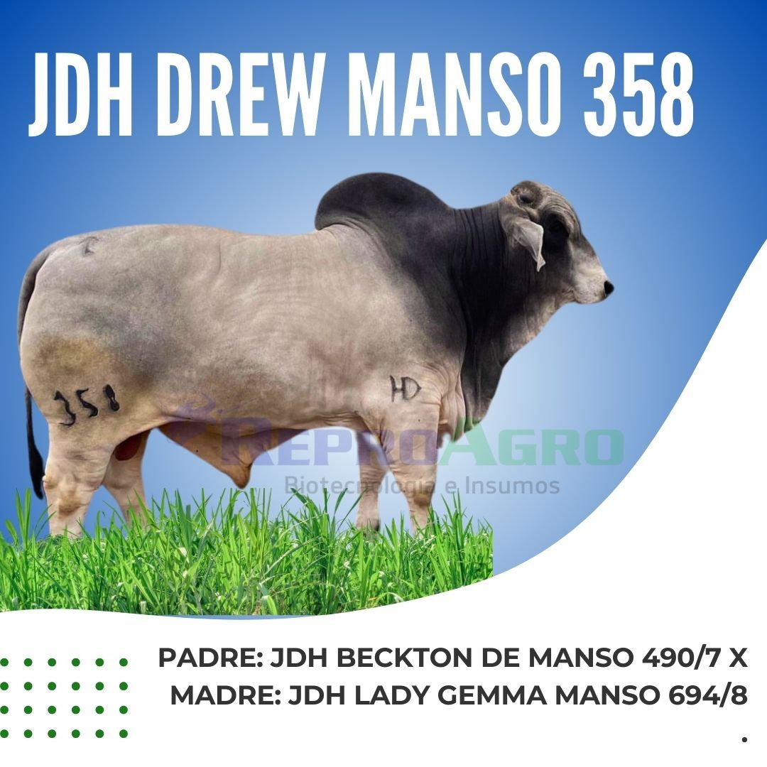 JDH DREW MANSO