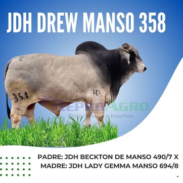 JDH DREW MANSO - imagen 1