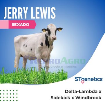 JERRY LEWIS SEXADO - imagen 1