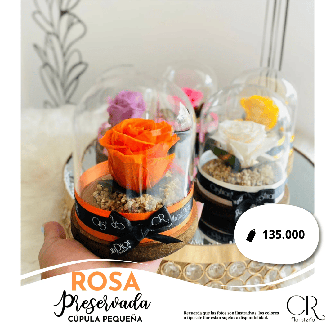Rosa Preservada Mini