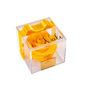 Imagen del producto MINI BOX TRANSPARENTE