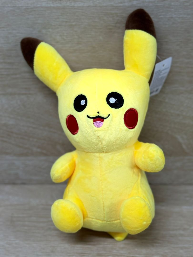 2655 POKEMON