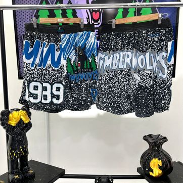 Pantalonetas Timberwolves - imagen 1