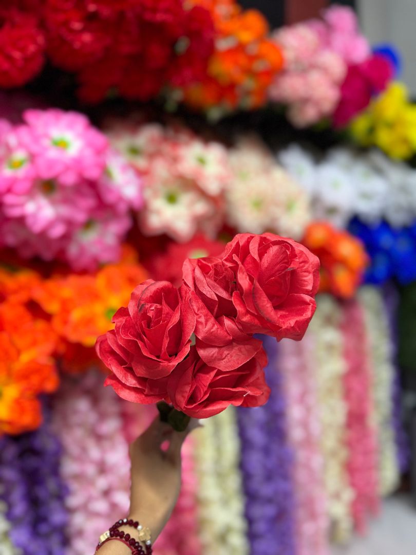 Rosa encanto 